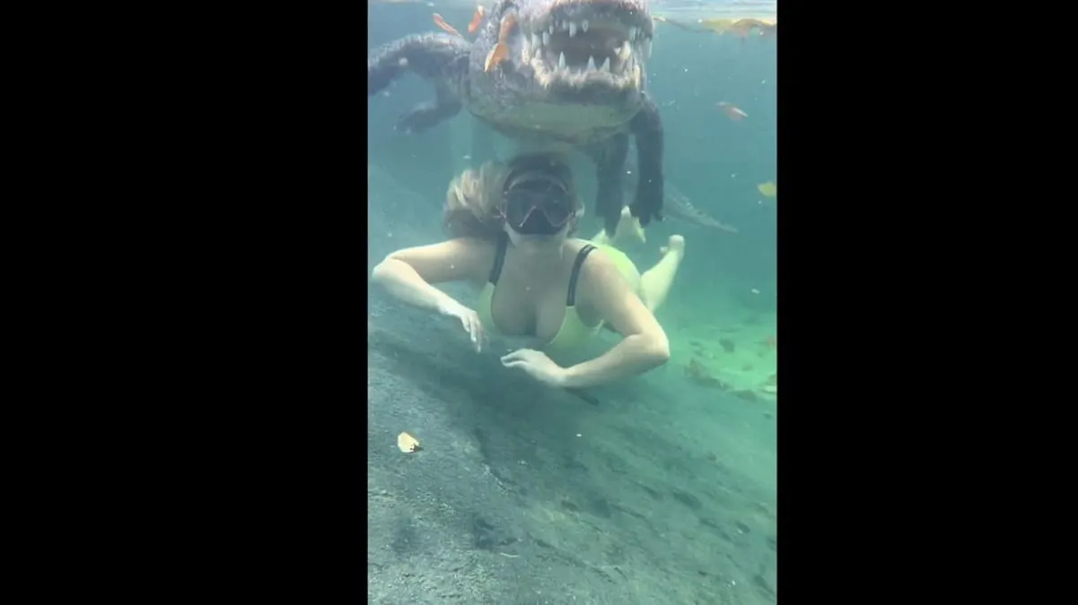 Mujer se viraliza en las redes por nadar junto a un caimán en un santuario de Florida