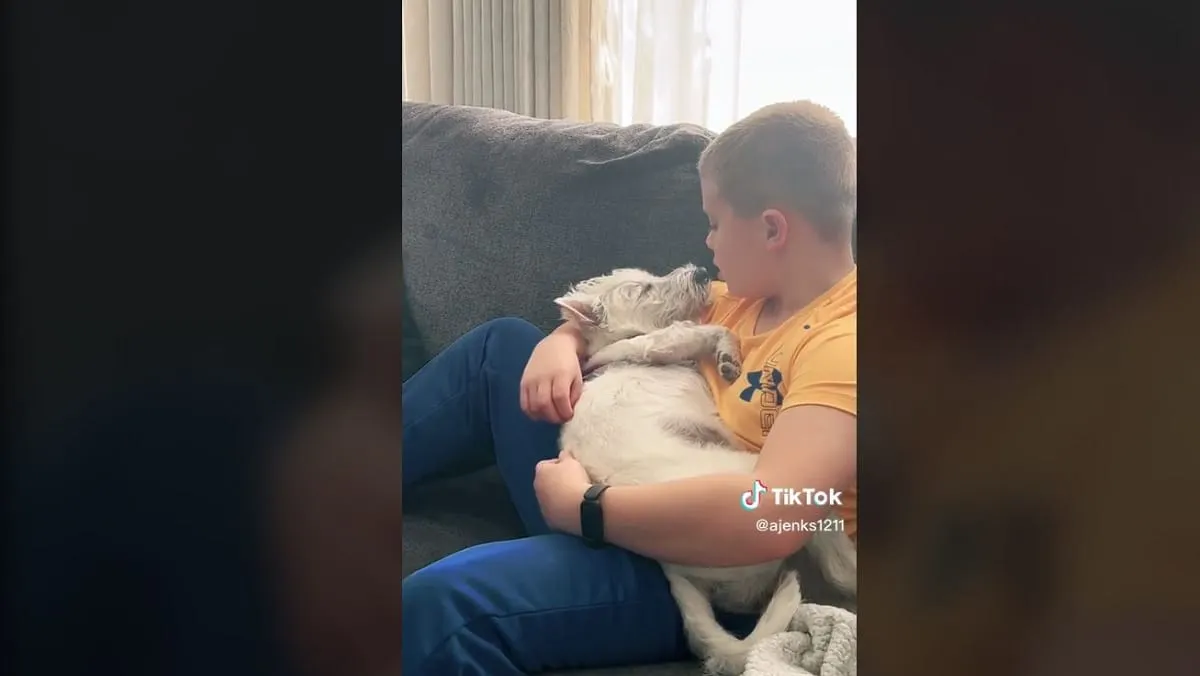 Niño se viralizó en TikTok tras cantarle una canción de Coldplay a su perrito