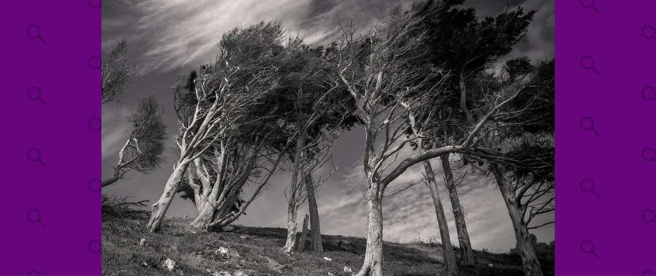 Cómo protegerte antes, durante y después de un huracán