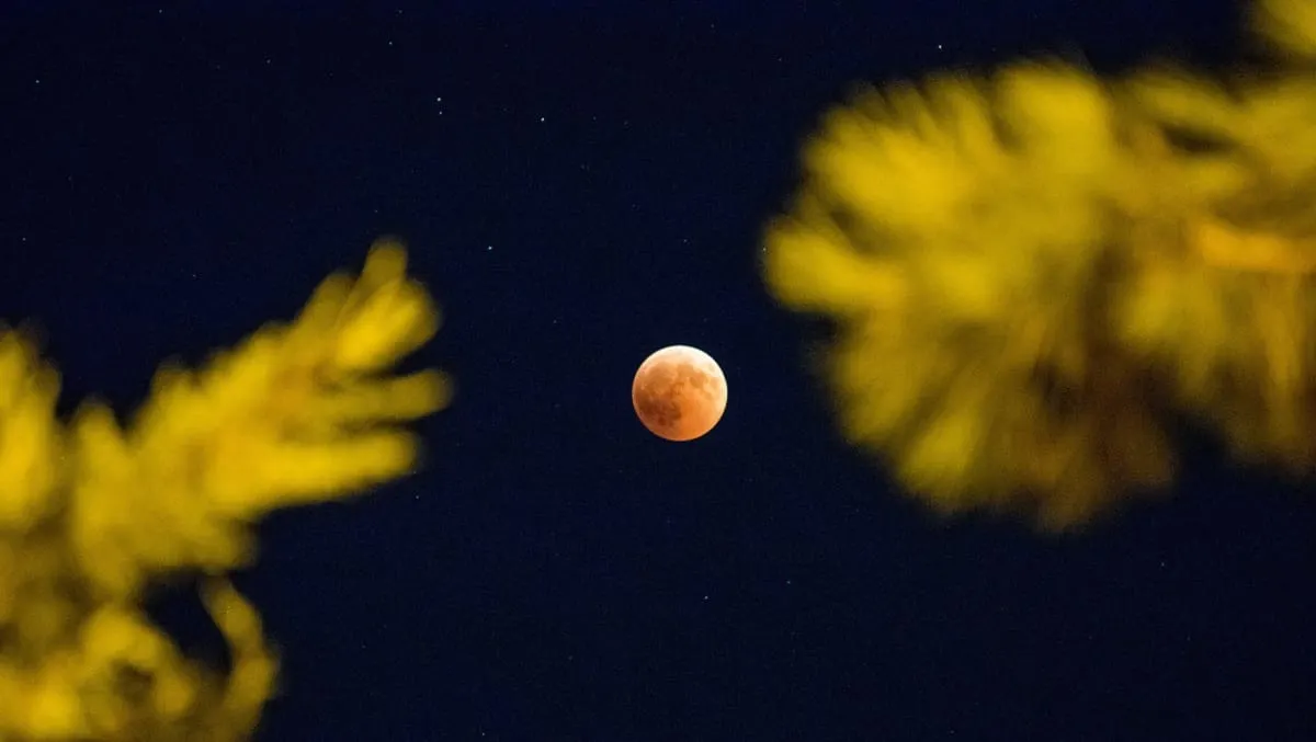 El eclipse de luna de flores se transmite en vivo cuánto tiempo durará