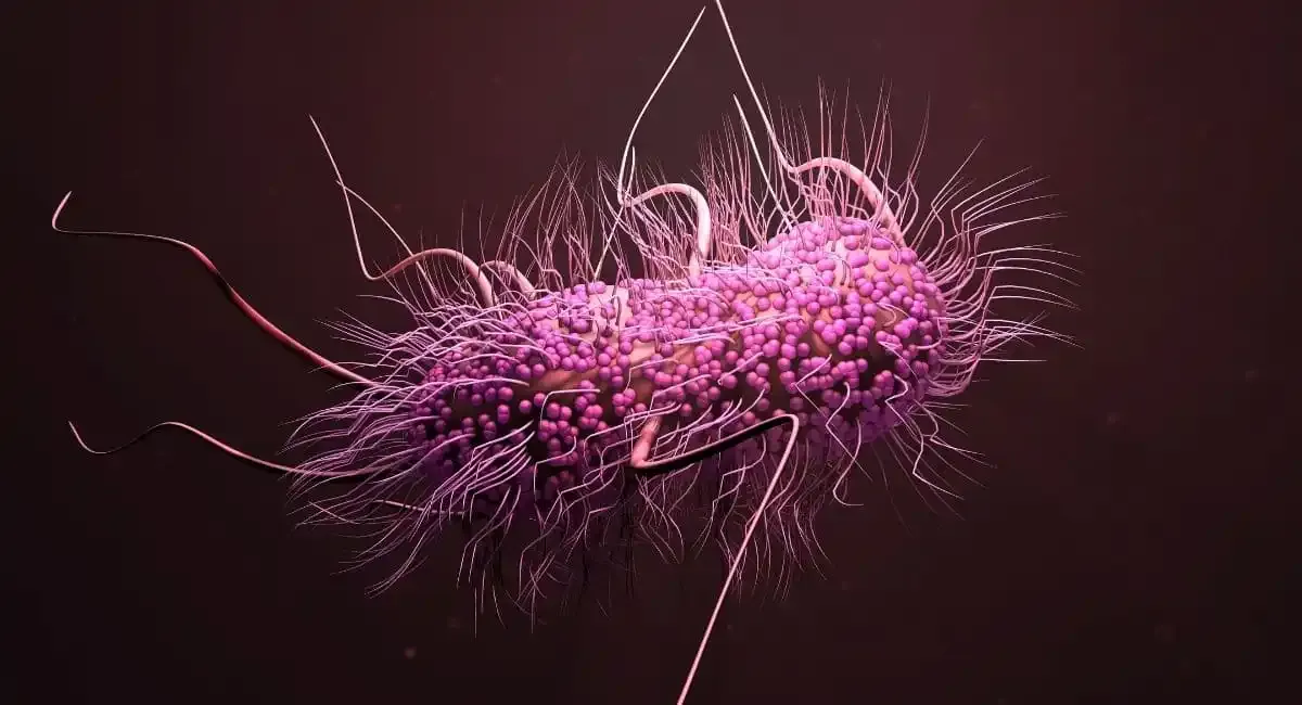 Bacterias genéticamente modificadas: una nueva arma contra el cáncer