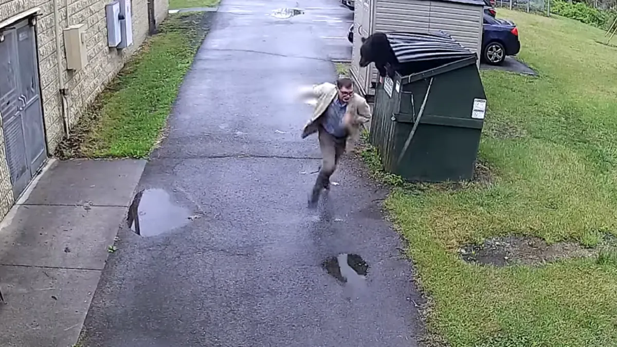 La reacción del director de una escuela al ser sorprendido por un oso que salió de un basurero