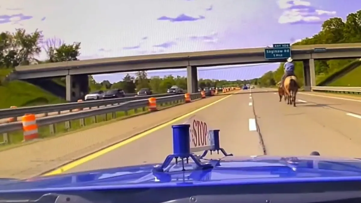 Un vaquero a caballo persiguió a un novillo en autopista de Michigan