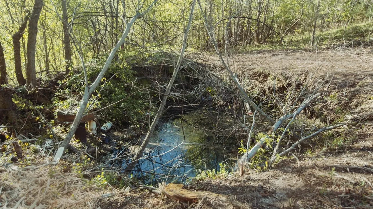 Esta ciudad de California bombeó agua bajo tierra para dejar de hundirse