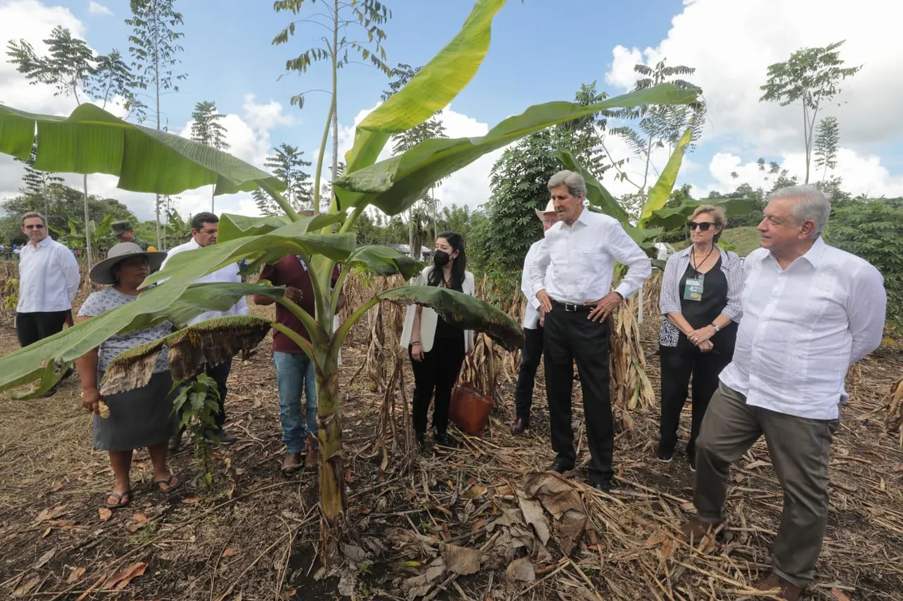 Sembrando Vida: el sueño infértil de López Obrador para Latinoamérica