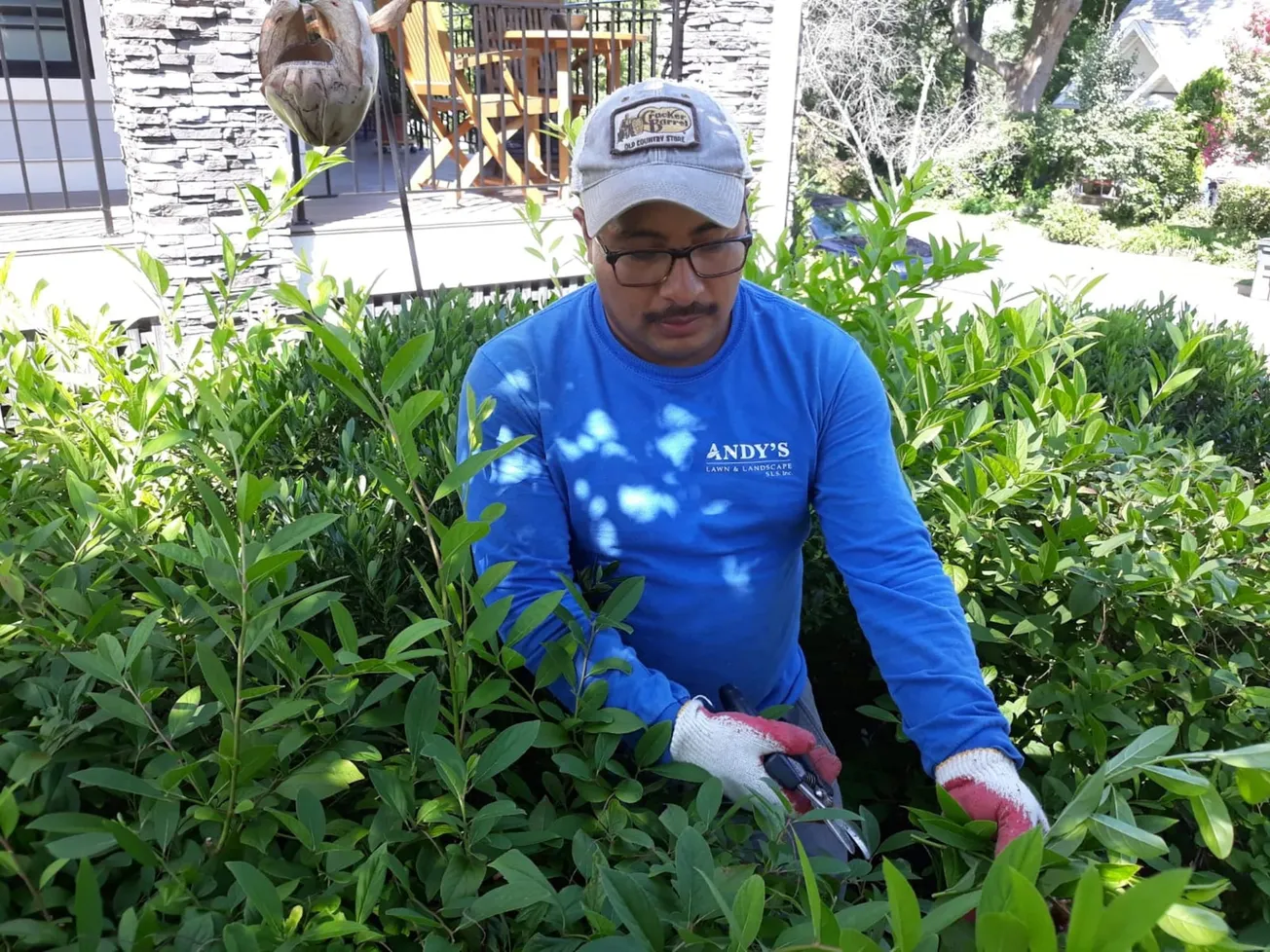 Progreso Climático y herencia hispana