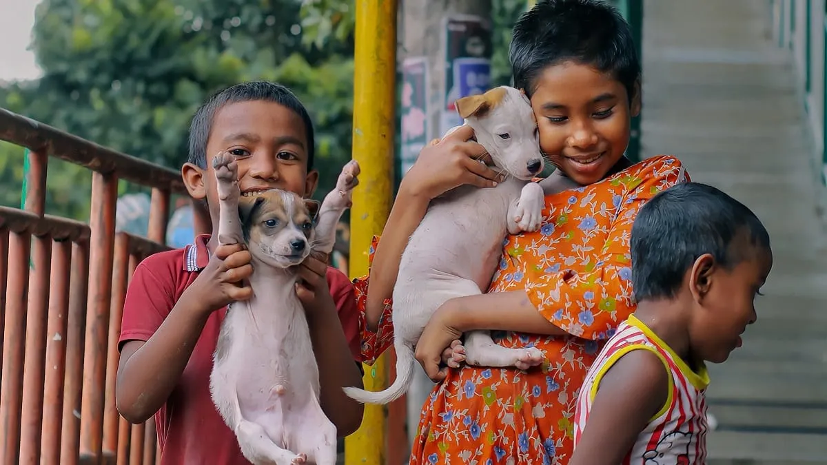 21 de julio, Día Mundial del Perro Por qué se celebra