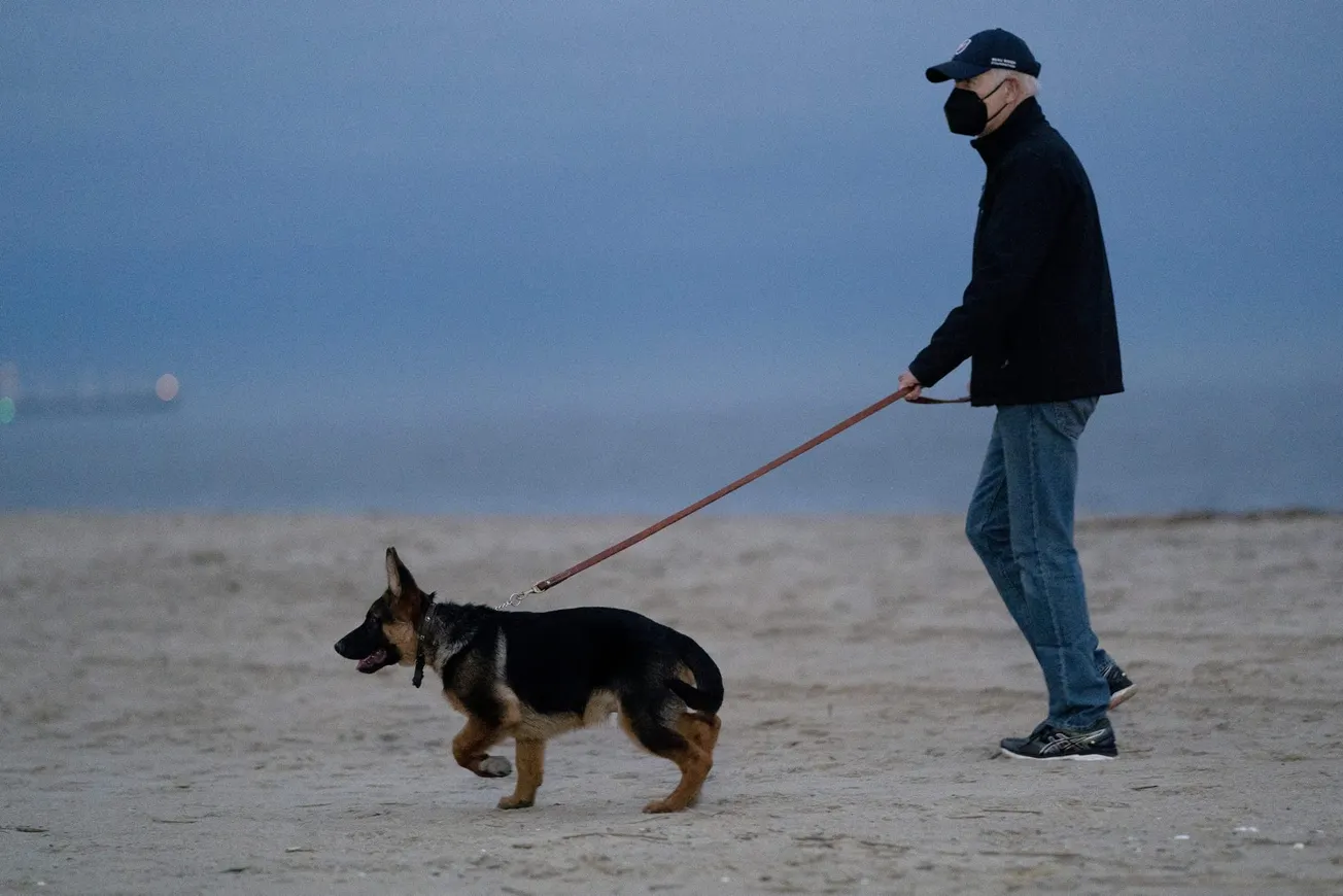 Commander, el perro del presidente Biden, mordió a varios agentes del Servicio Secreto