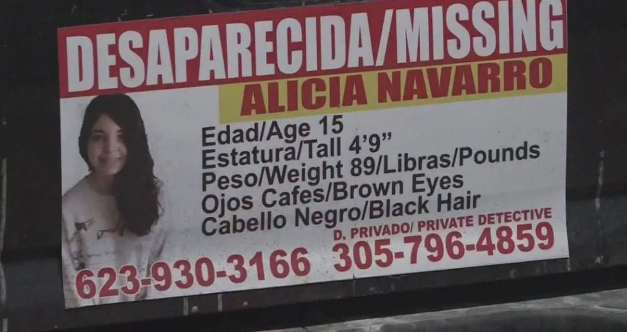 cartel desaparecida alicia navarro