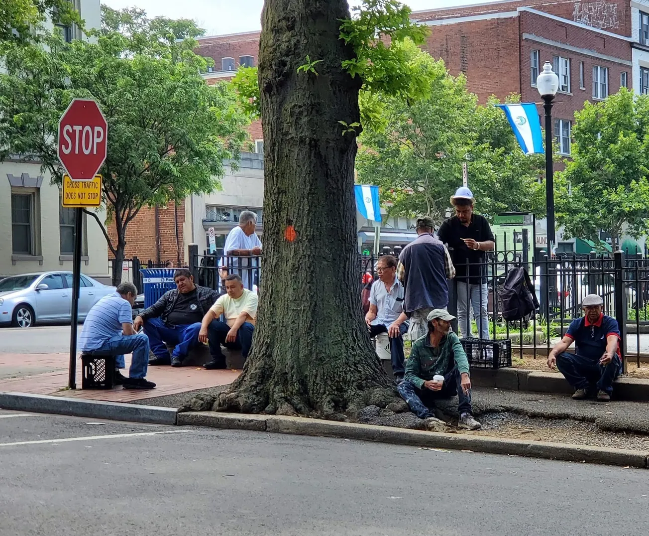 Amigos Park Mount Pleasant