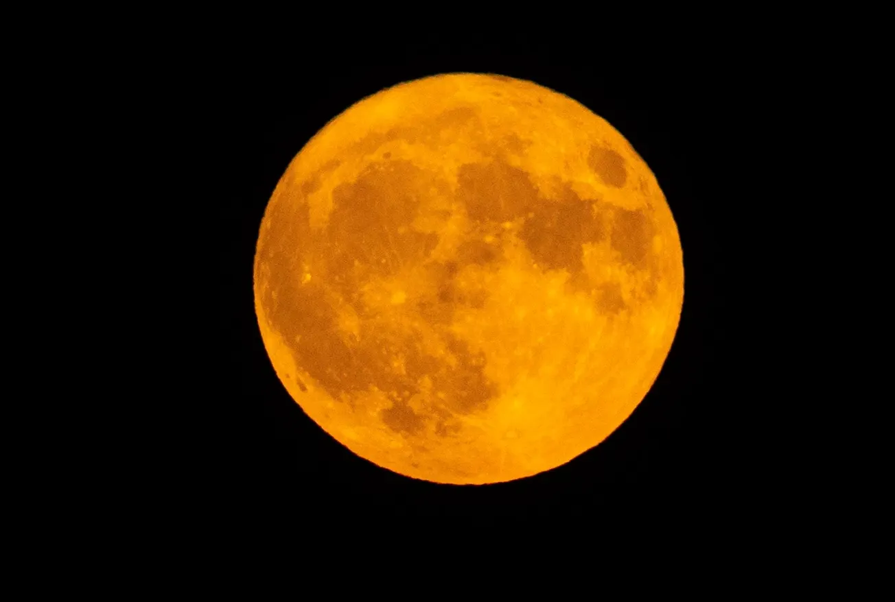 Luna llena de castores