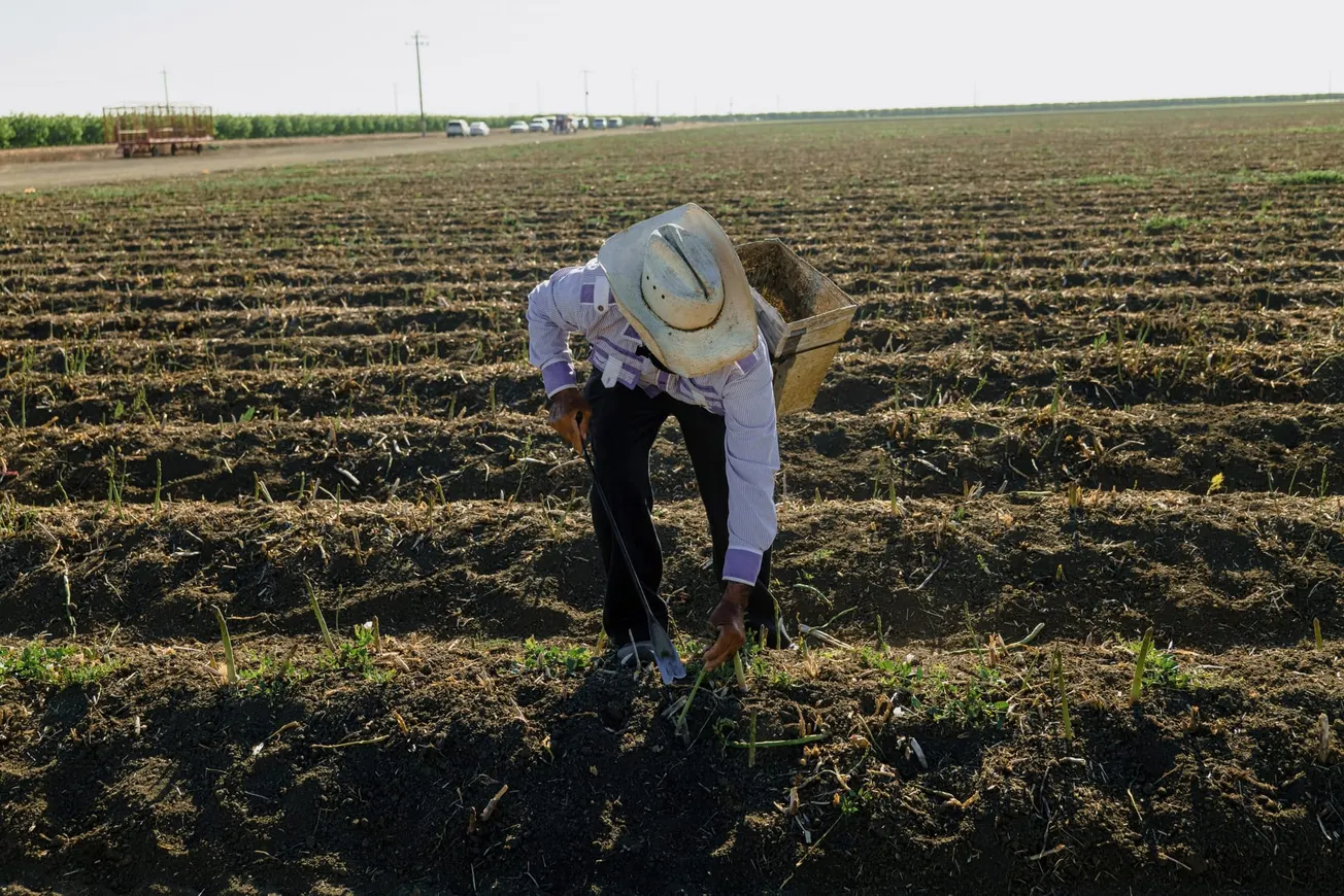 tierras agricolas Montgomery