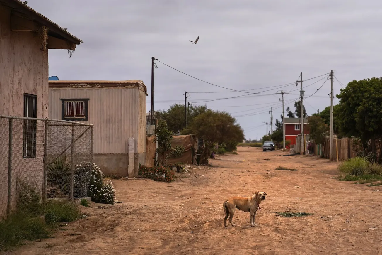 Fiebre de las Montañas Rocosas