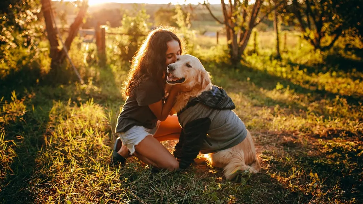 miocardiopatía dilatada