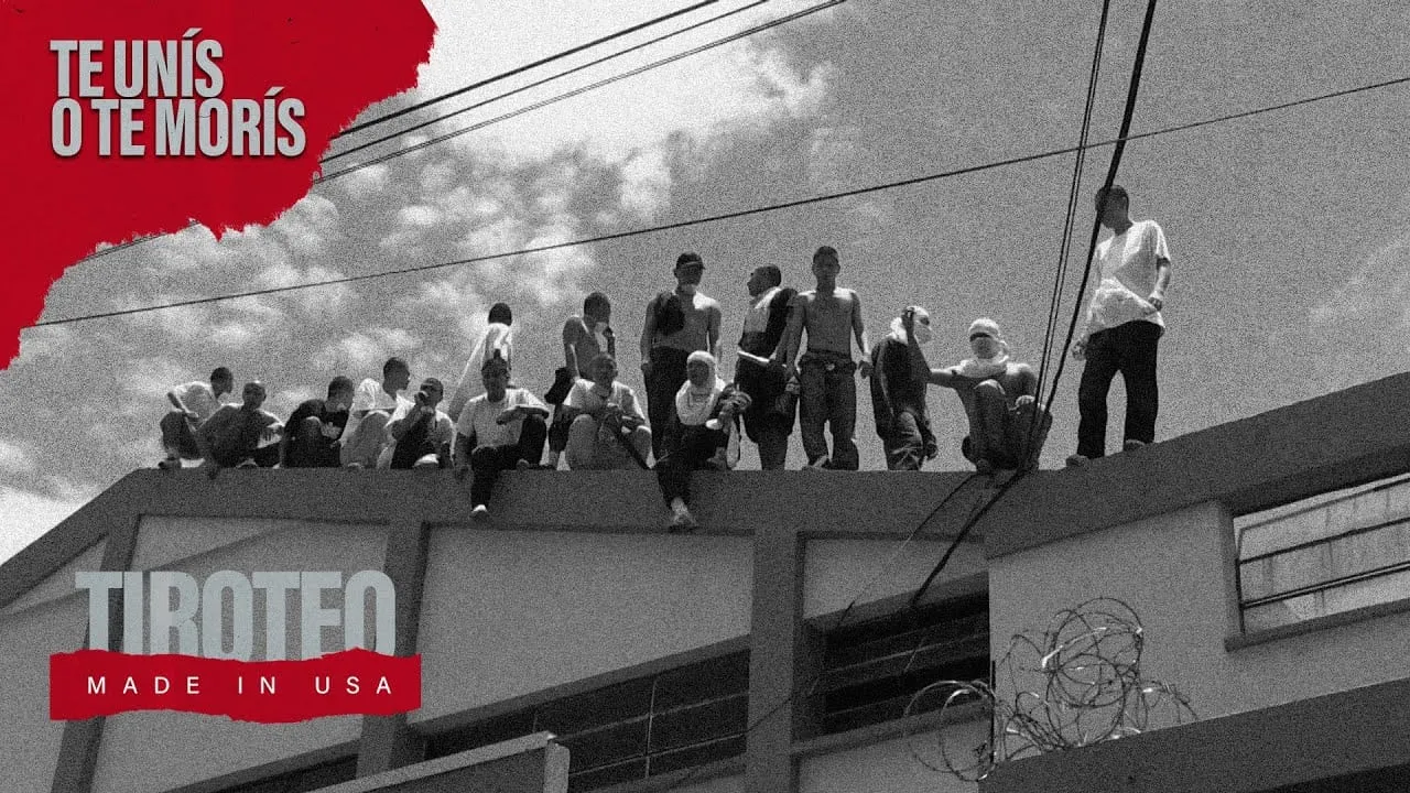 ¿Te gustan los documentales? Entonces no puedes perderte el que hicimos sobre la Mara Salvatrucha