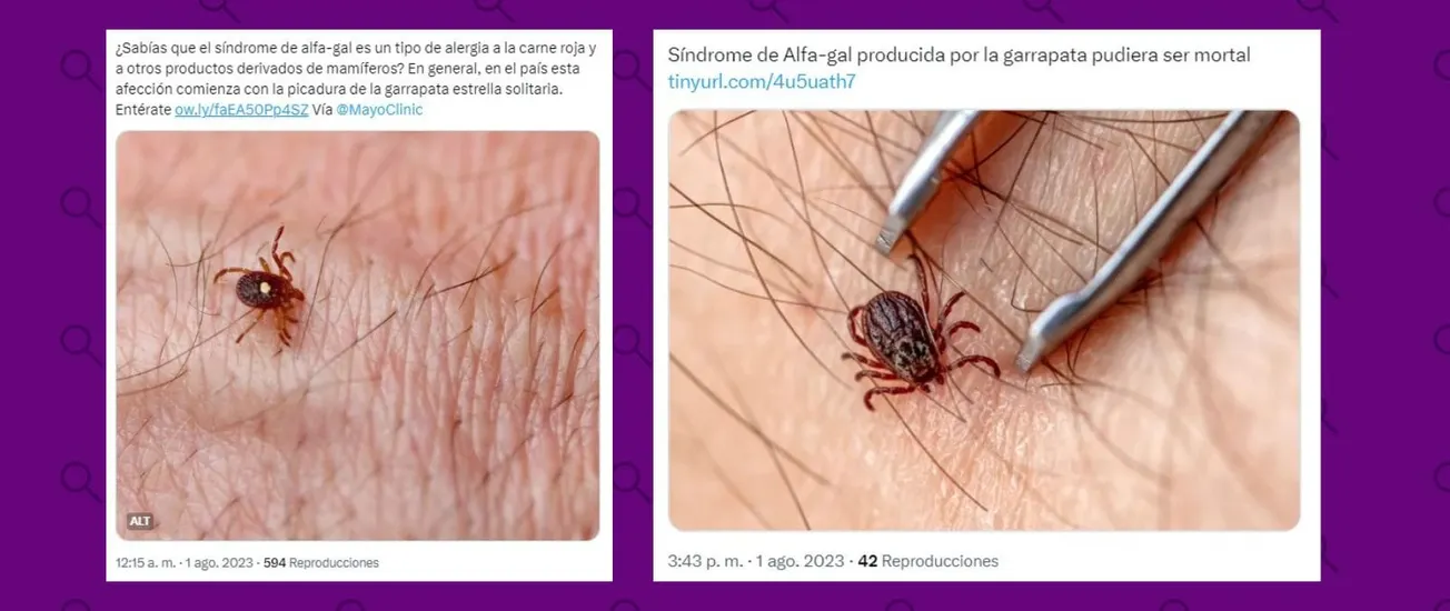 síndrome de alfa-gal