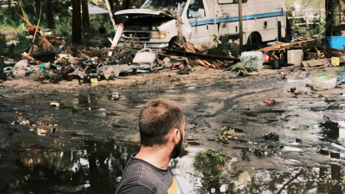 bacterias carnívoras