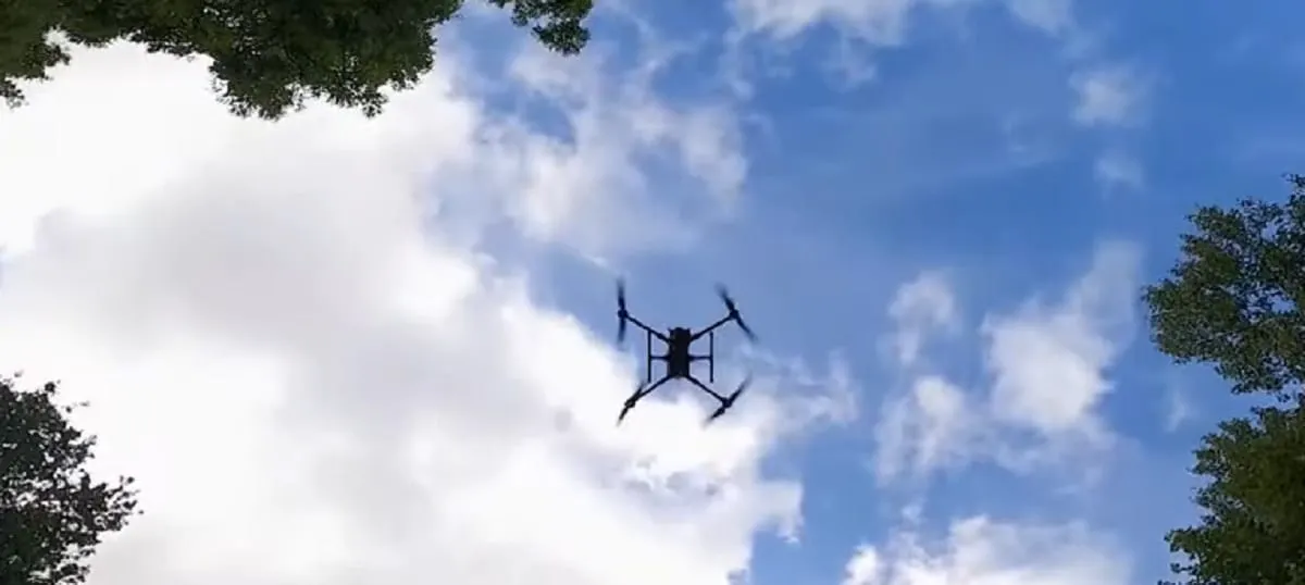 El aporte de la inteligencia artificial para combatir incendios forestales. ¿Cómo funciona?