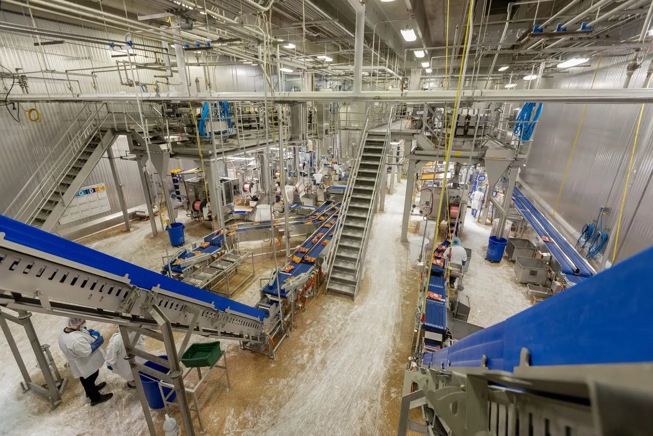 empresas cárnicas emplean a niños inmigrantes