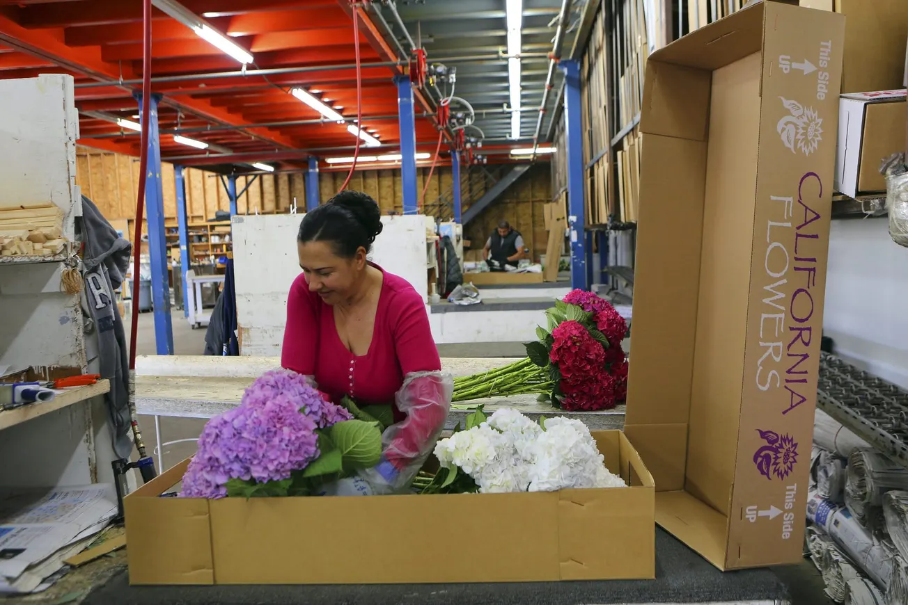 negocios latinos en EEUU