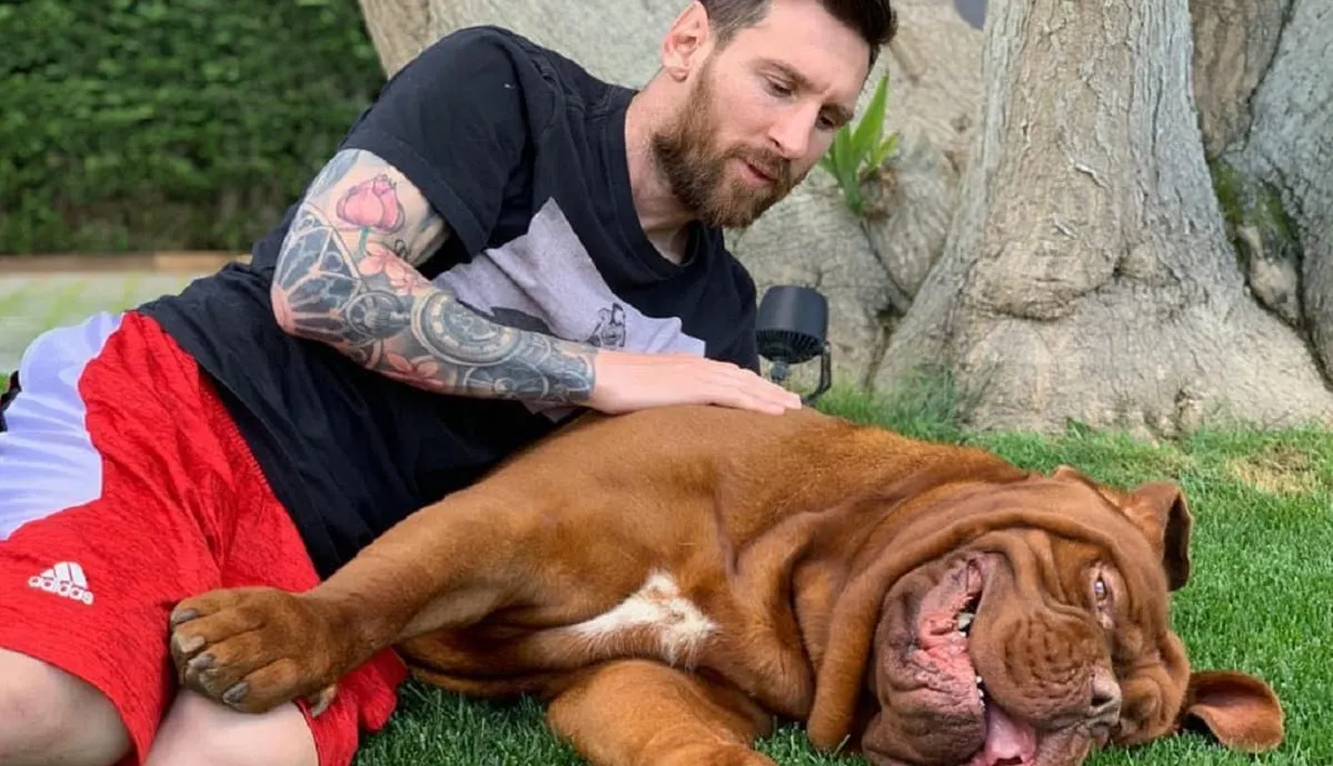 Qué pasó con Hulk, el perro de Messi Por esta razón no viajó con la familia a Miami