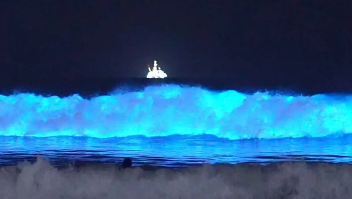 Surfistas graban en playa de California fenómeno que pone las olas azules y brillantes