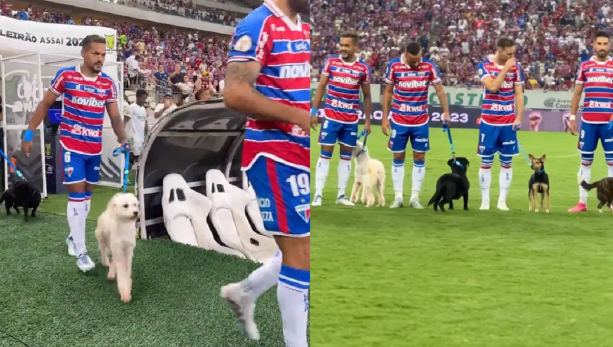 Futbolistas salen al campo con unos perros para promover la adopción de mascotas