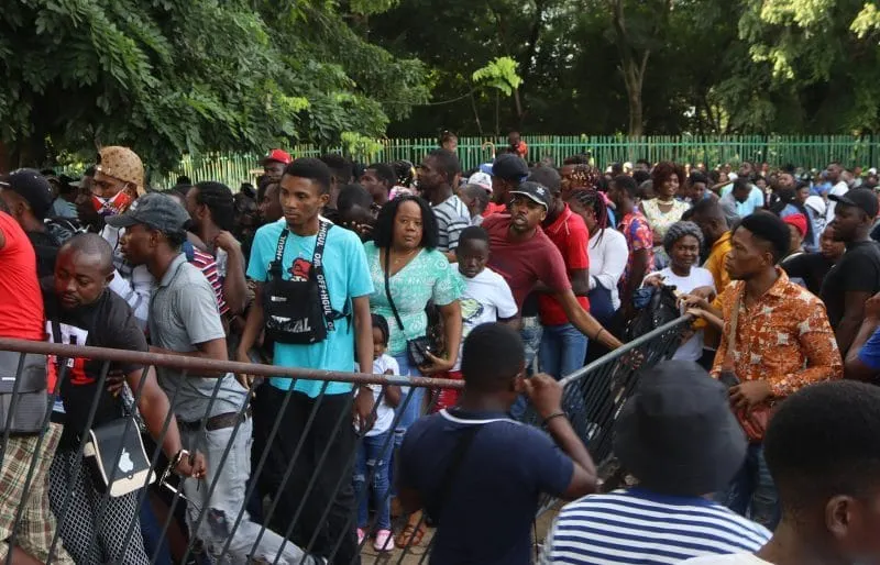 vuelos gratis inmigrantes Nueva York