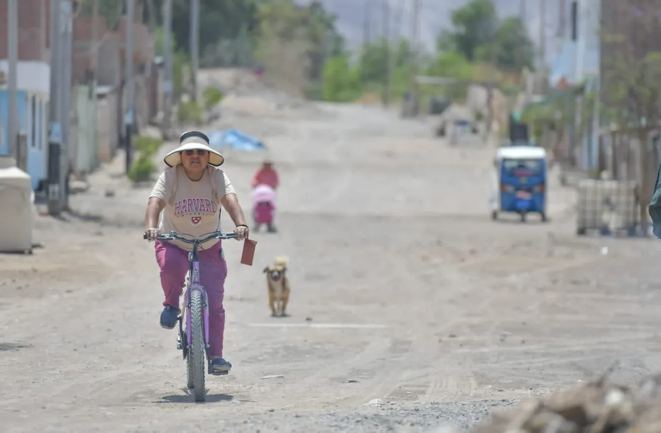 Murió mujer por rabia en Perú, el caso más reciente en años