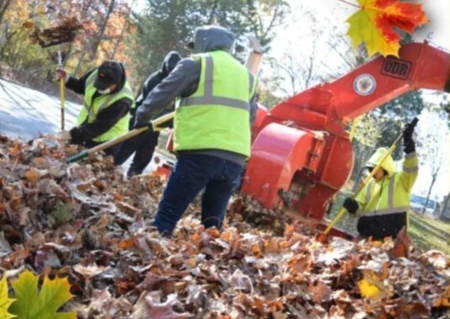 El lunes comienza la recolección de hojas con aspiradora en el condado de Montgomery