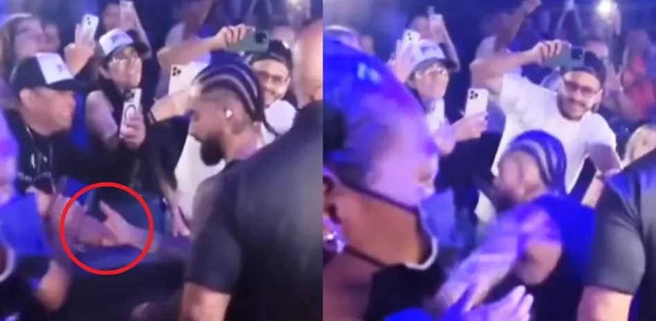 manotazo de paluma a un fan.