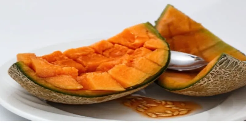 Salmonela por melones