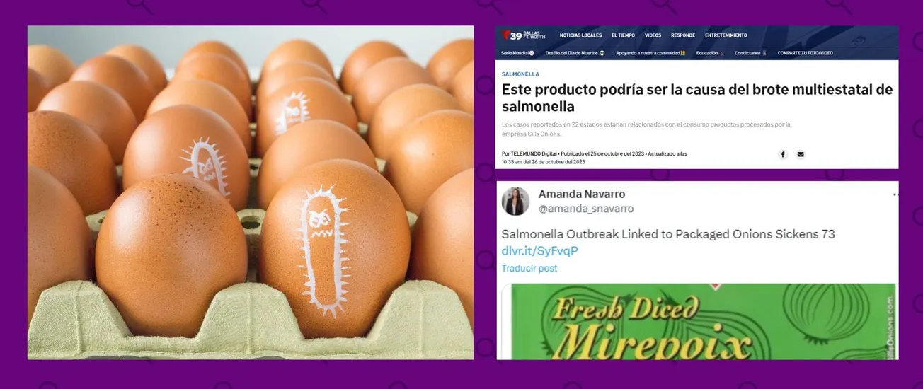 Evitar síntomas de salmonelosis