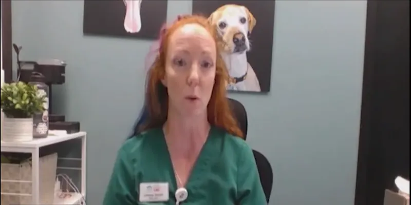 Reconocida veterinaria habla sobre el resfriado canino