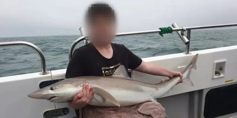 Arion Kurtaj, 18 años, integrante importante de Lapsus$, arrestado y condenado por hackear y filtrar información confidencial