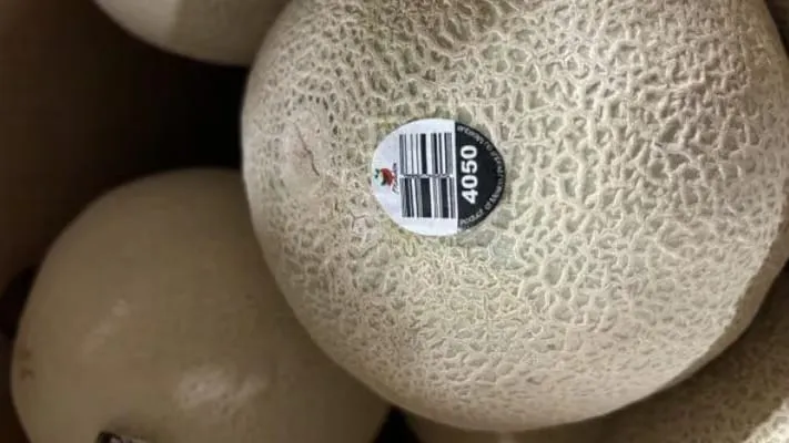 Melones contaminados con salmonella dejan 5 muertos y decenas de heridos en Canadá