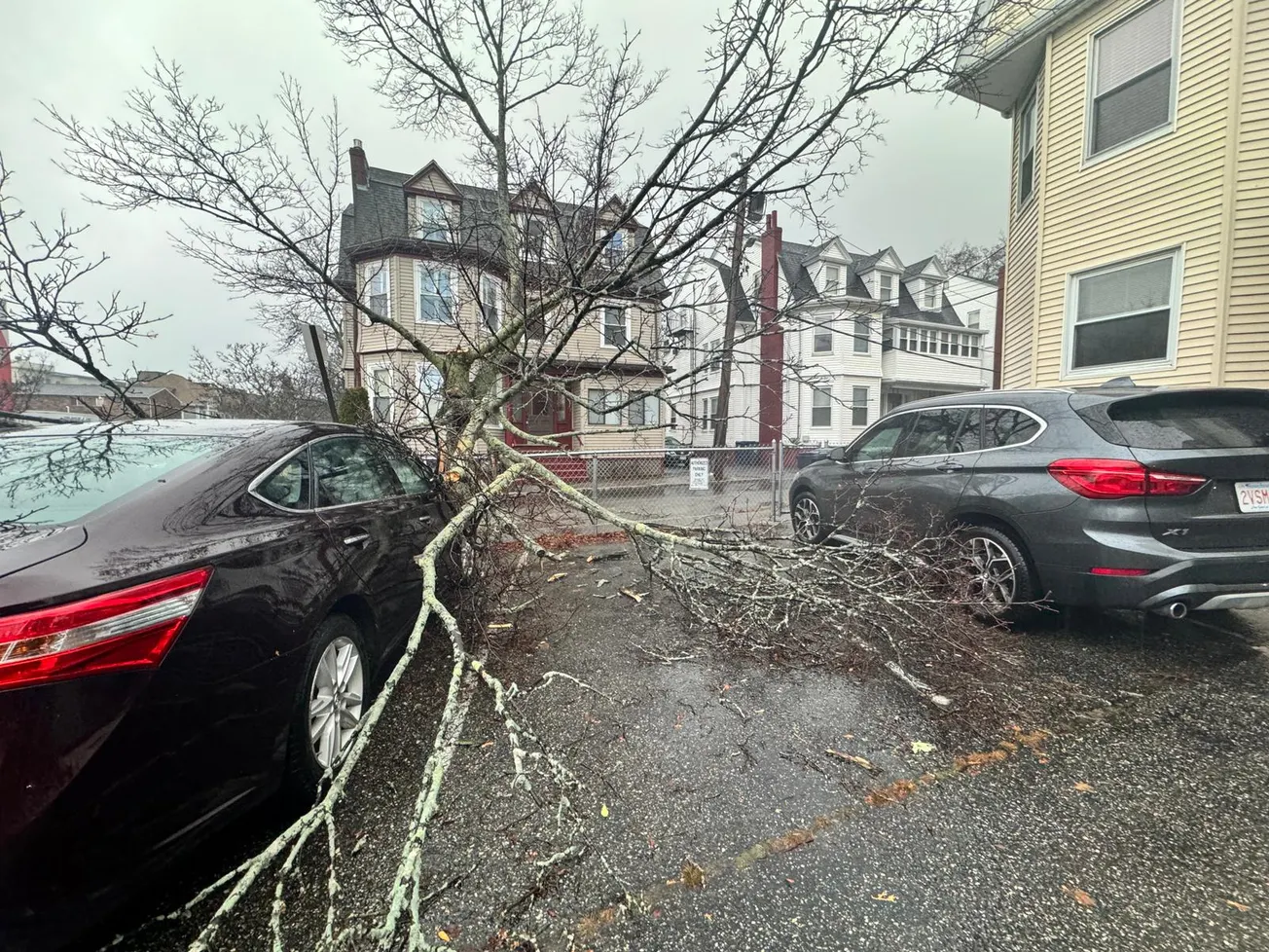 El paso de la tormenta ha retrasado los vuelos y dejado a miles de hogares sin electricidad en MA