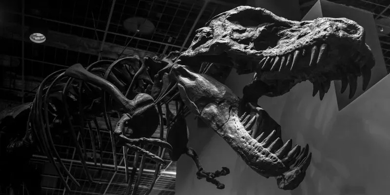 fósil tiranosaurio comida conservada