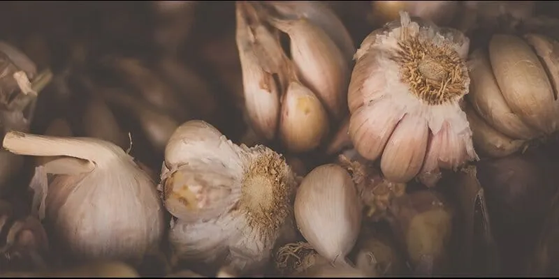 Ajo chino presenta un riesgo para seguridad nacional según este senador