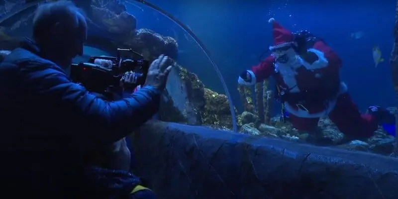 Santa Claus submarinista le lleva regalos a las criaturas acuáticas del SEA LIFE Oberhausen