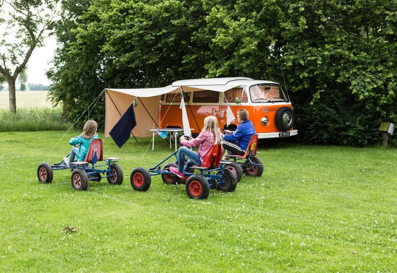 Campamentos de verano Montgomery