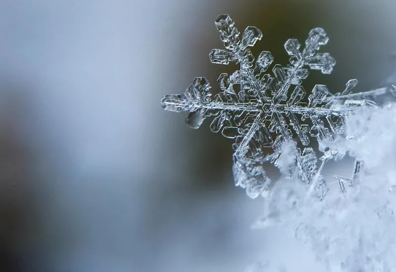 cómo se ven los copos de nieve