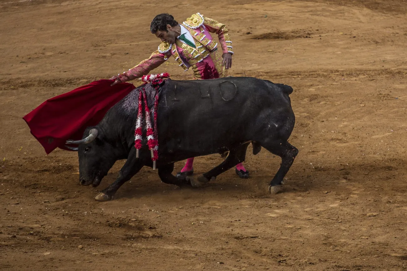 corridas de toros