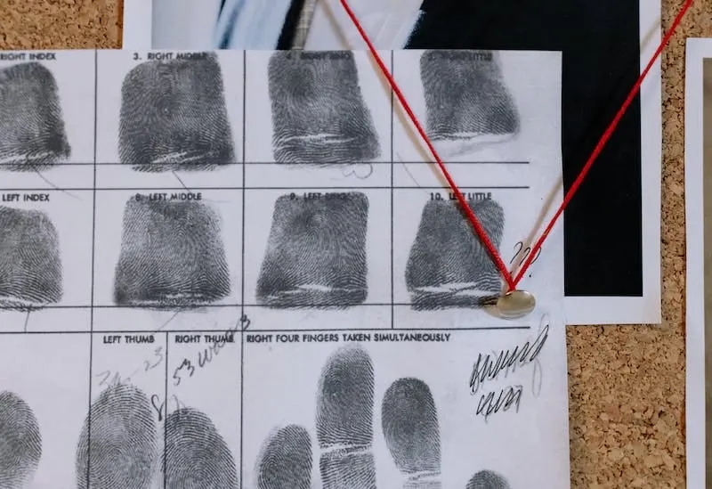 Nuevo estudio realizado por una IA afirma que las huellas dactilares no son únicas. Foto de cottonbro studio /pexels