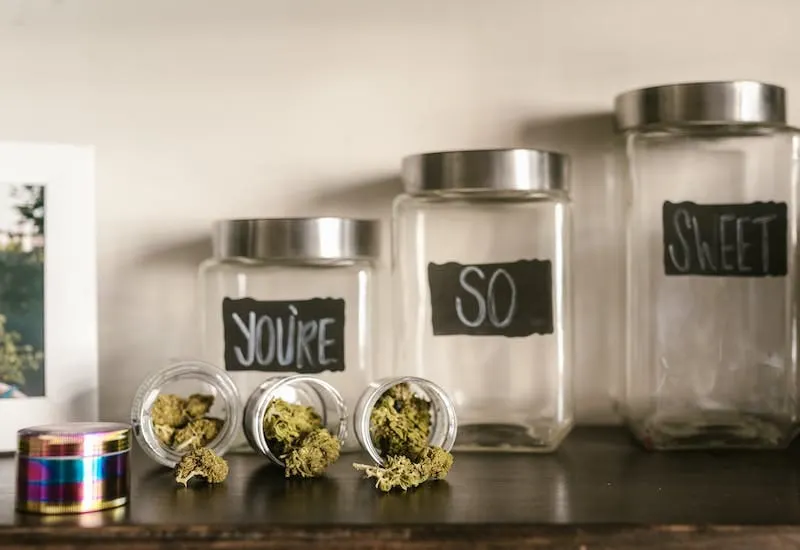 Protestas en DC por la apertura de un dispensario de cannabis cerca de una "charter" school. Foto cortesía de RDNE Stock Proj