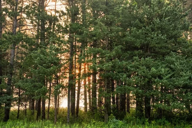 terreno en Upper Marlboro