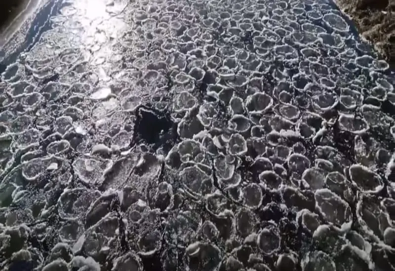 Te explicamos cómo se forman estos "pancakes de hielo" en un río de Minnesota. Captura cortesía de FOX 9 Minneapolis-St. Paul