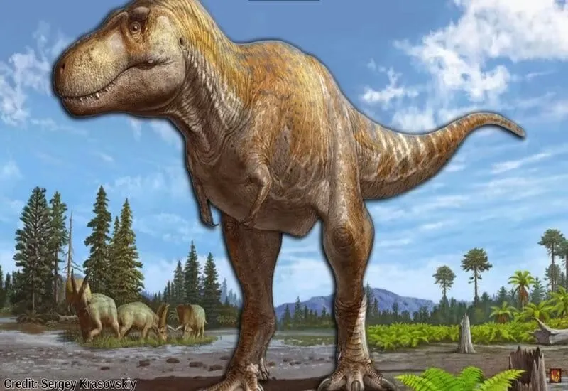 T. mcraeensis, nuevo dinosaurio descubierto en New Mexico, pariente del T.rex. Foto cortesía de Sergey Krasovskiy