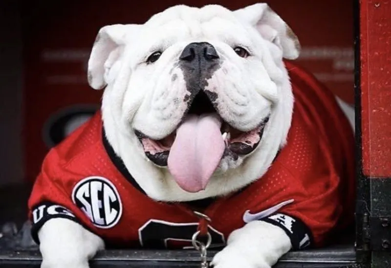Uga X