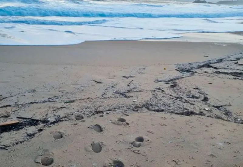 Microplásticos costas España